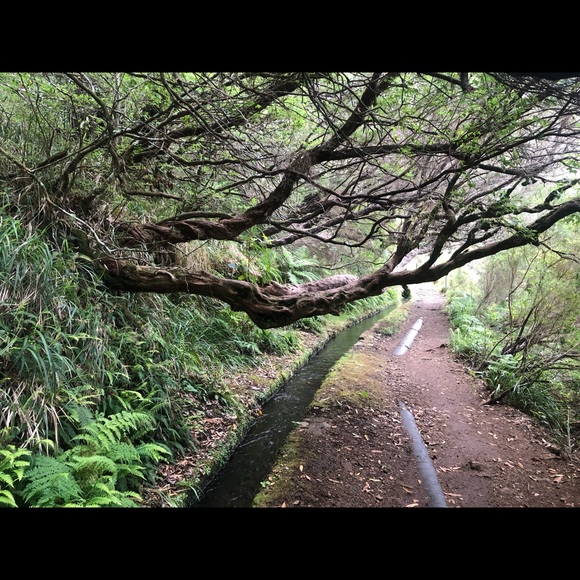 Meet your Posher, Amy - Picture 7 of 12